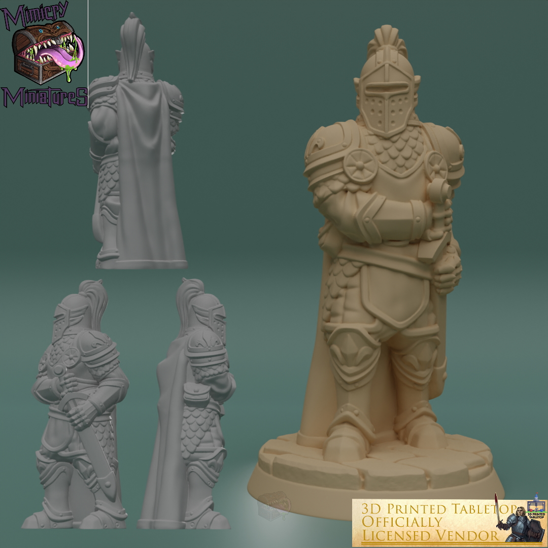 Royal Guards - The Lost Adventures by 3D Printed Tabletop image 2